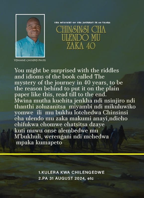 Back cover of Chinsisi Cha Ulendo